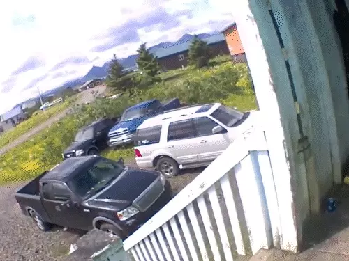 अलास्का में 7.3 तीव्रता का भूकंप:सुनामी की चेतावनी वापस ली गई; एक हफ्ते में 400 भूकंप दर्ज किए गए |