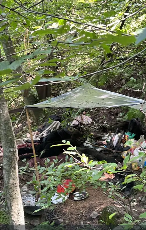 सेना ने LoC पर 2 पाकिस्तानी आतंकियों को गोली मारी:घायल हुए या मारे गए, अभी पुष्टि नहीं; पुंछ में ऑपरेशन जारी |