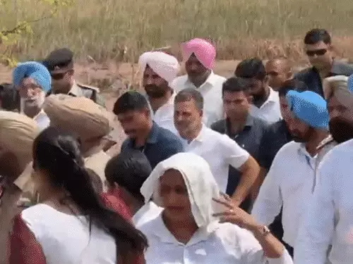 पंजाब के बाढ़ग्रस्त इलाकों में राहुल गांधी:अमृतसर में डूबी फसलें-टूटे घर देखे