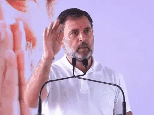 राहुल गांधी की गुजरात यात्रा हुई रद्द:दिल्ली में खराब मौसम के कारण फ्लाइट कैंसिल