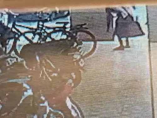 જર્મન શેફર્ડ ડોગનો બે બાળક પર હુમલો:અમદાવાદમાં પાર્કિંગમાંથી મહિલા કૂતરાને લઈને જતા સમયે બાળક પાછળ દોડ્યો